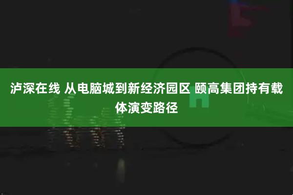 泸深在线 从电脑城到新经济园区 颐高集团持有载体演变路径